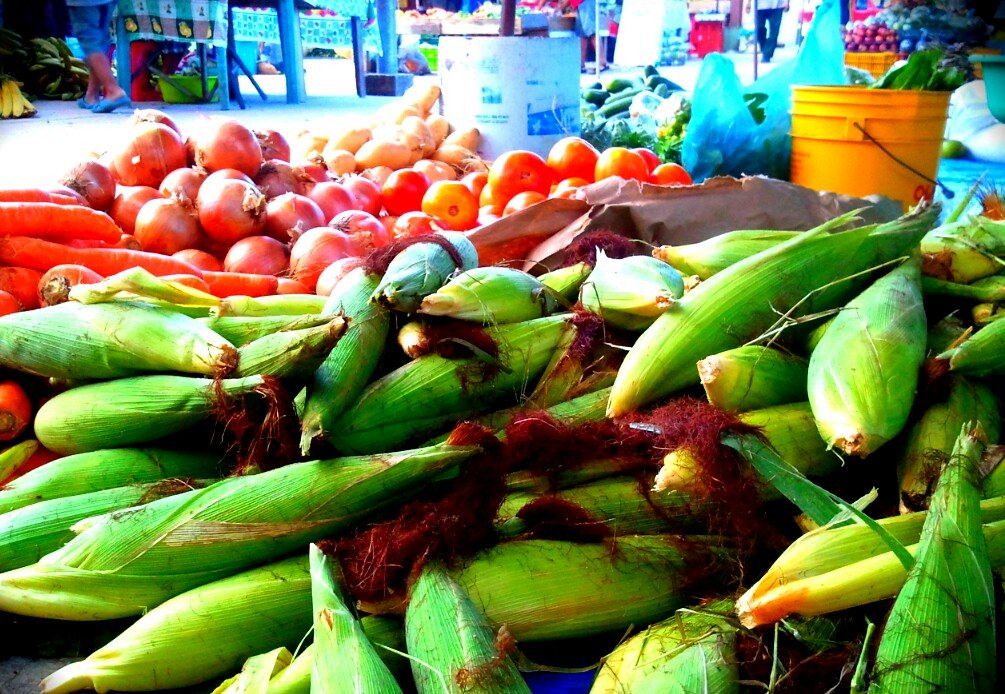san ignacio market day