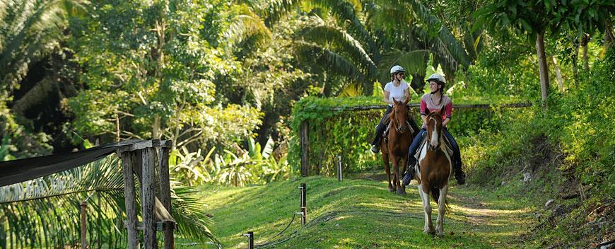 Belize Horseback Riding Tours