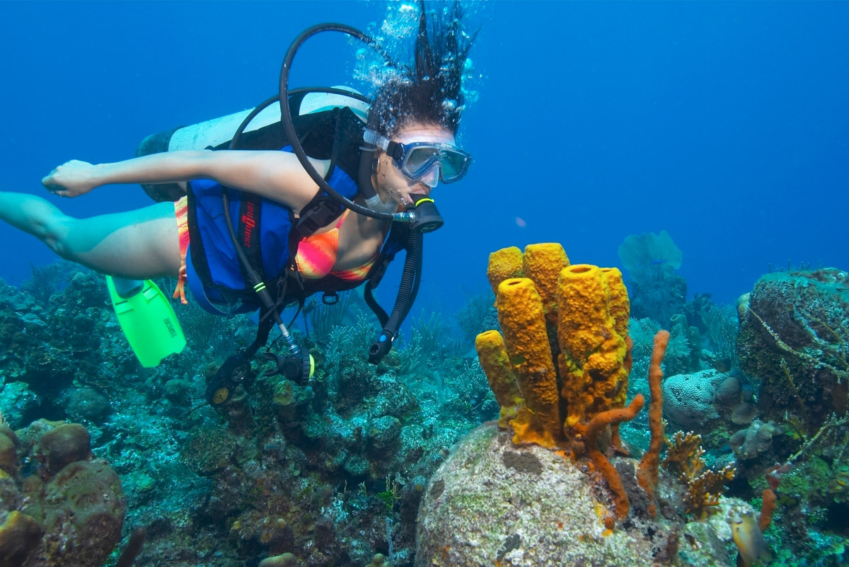 Belize Barrier Reef