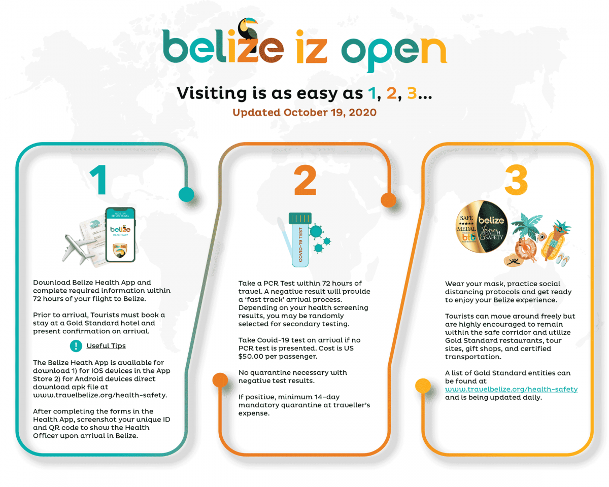 Belize Airport Entry Requirements Flowchart by the Belize Tourism Board