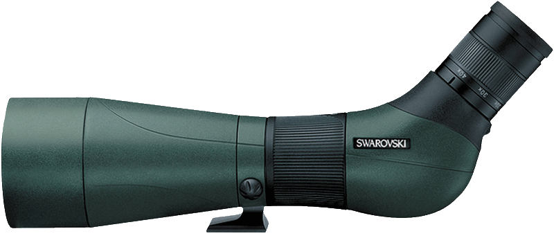Belize birding equipment swarovski scope