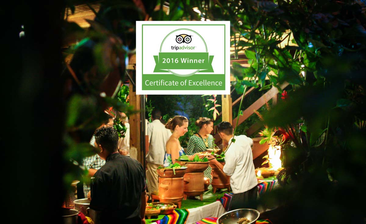 Tripadvisor awarded Bellize Guava Limb Cafe restaurant certificate of excellence 2016