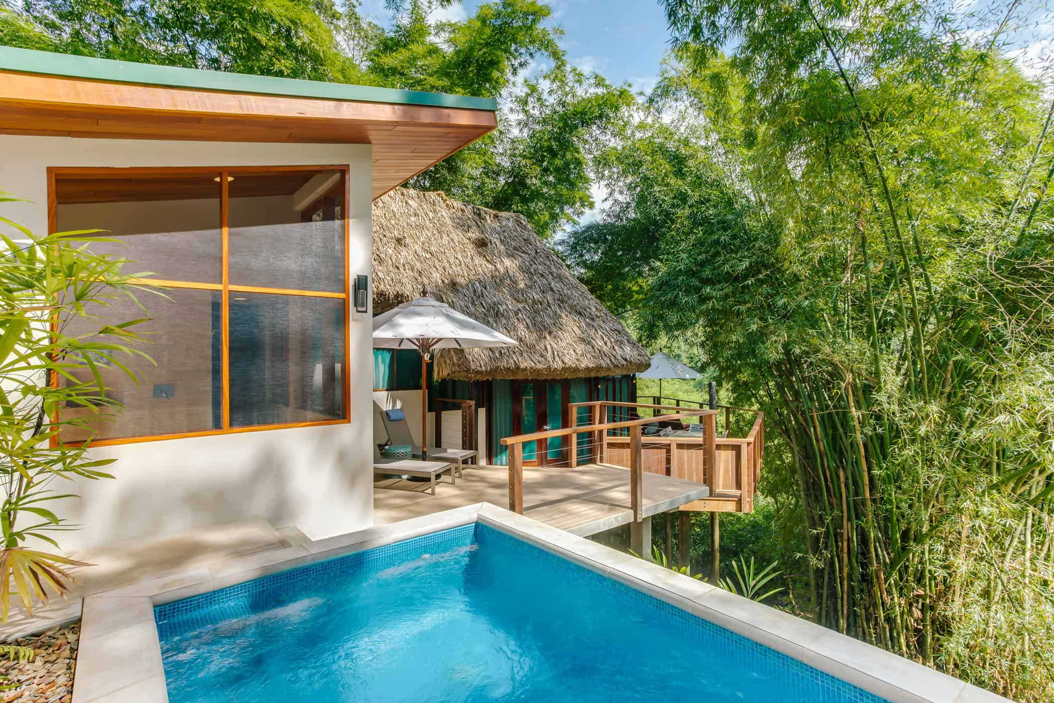 chaa creek accommodations tree top villas with plunge pool exterior view