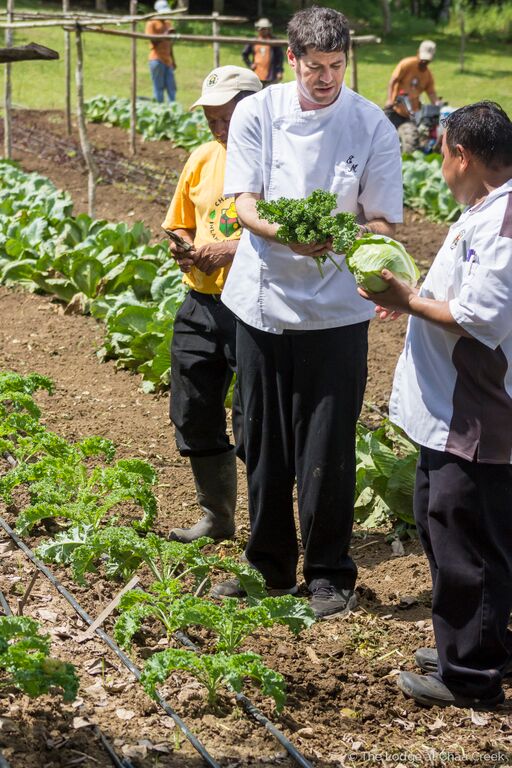 Chef Edward Mendoza creates special Thanksgiving Menu for Chaa Creek in Belize