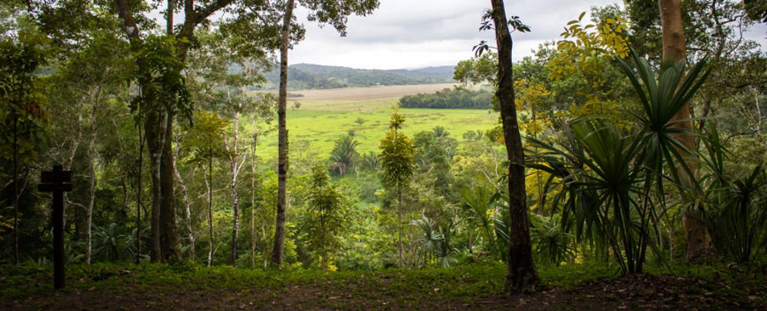 The lookout at Tunichilin inside Chaa Creek's Belize Private Nature Reserve