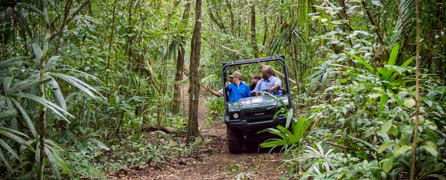 chaa creek onsite experiences cta with rtv rainforest safari tour in background