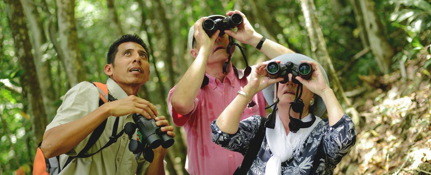 Belize adventure inclusive vacation birdwatching at chaa creek