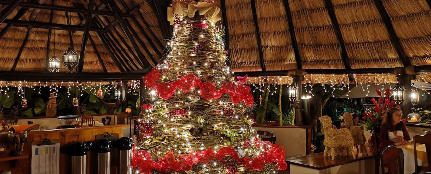 christmas tree inside chaa creek's mariposa restaurant