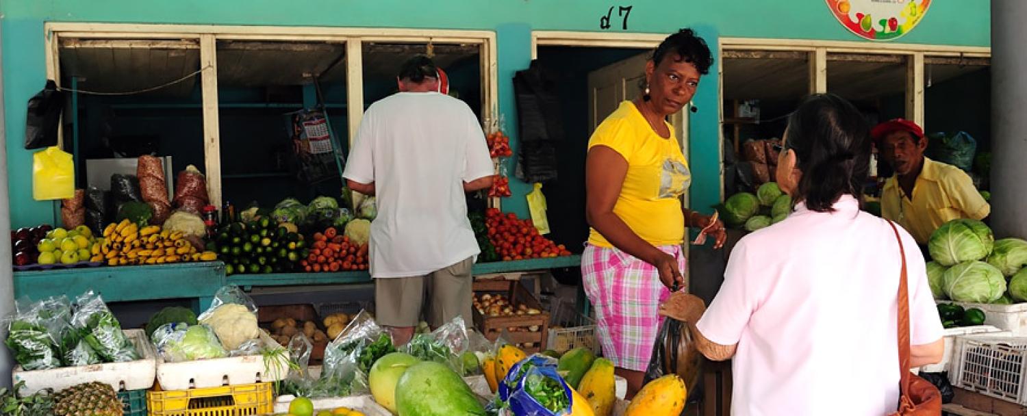 Corozal District  Belize Chaa Creek