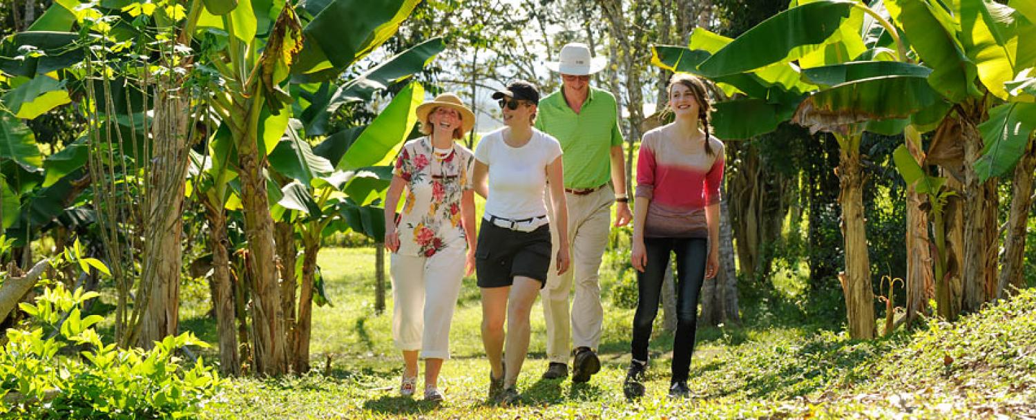 Family walking around our Belize Maya Organic Farm