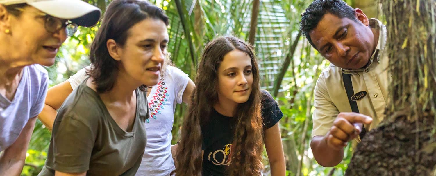 naturalist guide explaining to family on a naturalist hiking tour at chaa creek