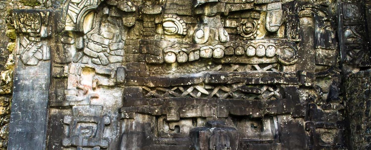 Mayan Ruins Caracol Glyphs