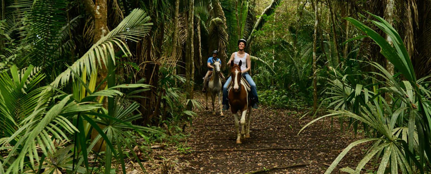 Belize Private Nature Reserve Horseback Riding