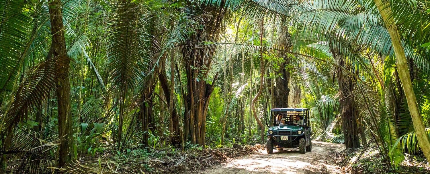 rainforest tour belize