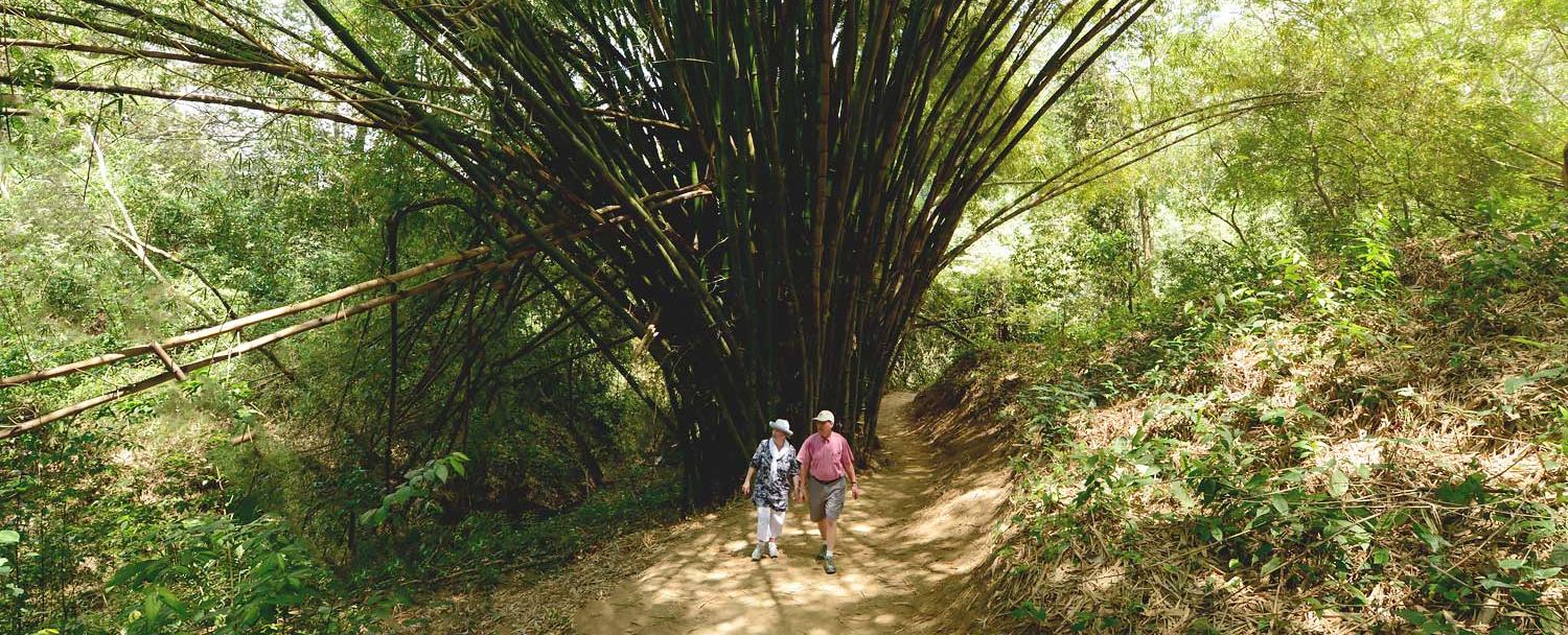 Belize hiking trails at chaa creek