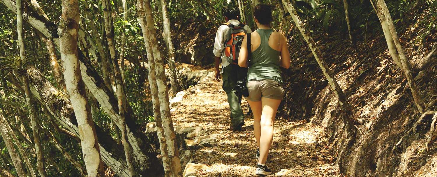 Hiking in Chaa Creek Nature Reserve