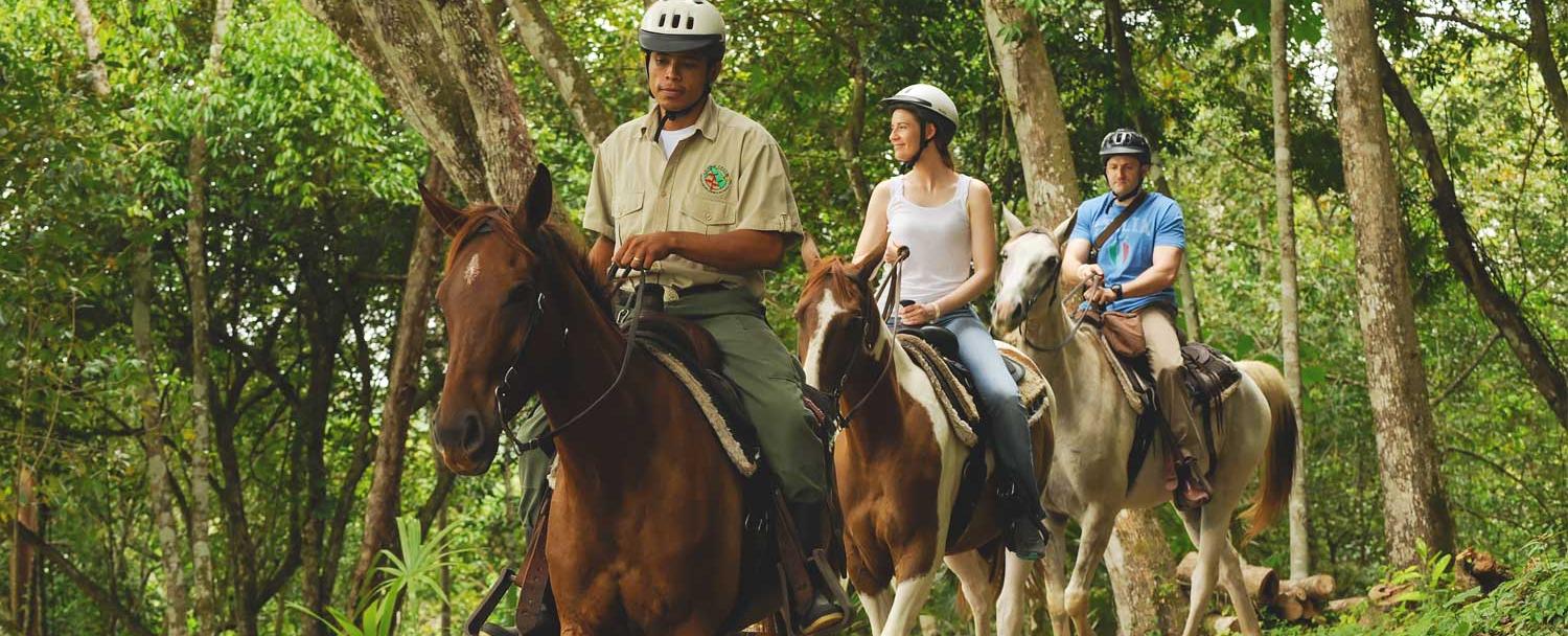 Belize Horseback Riding with naturalist Guide