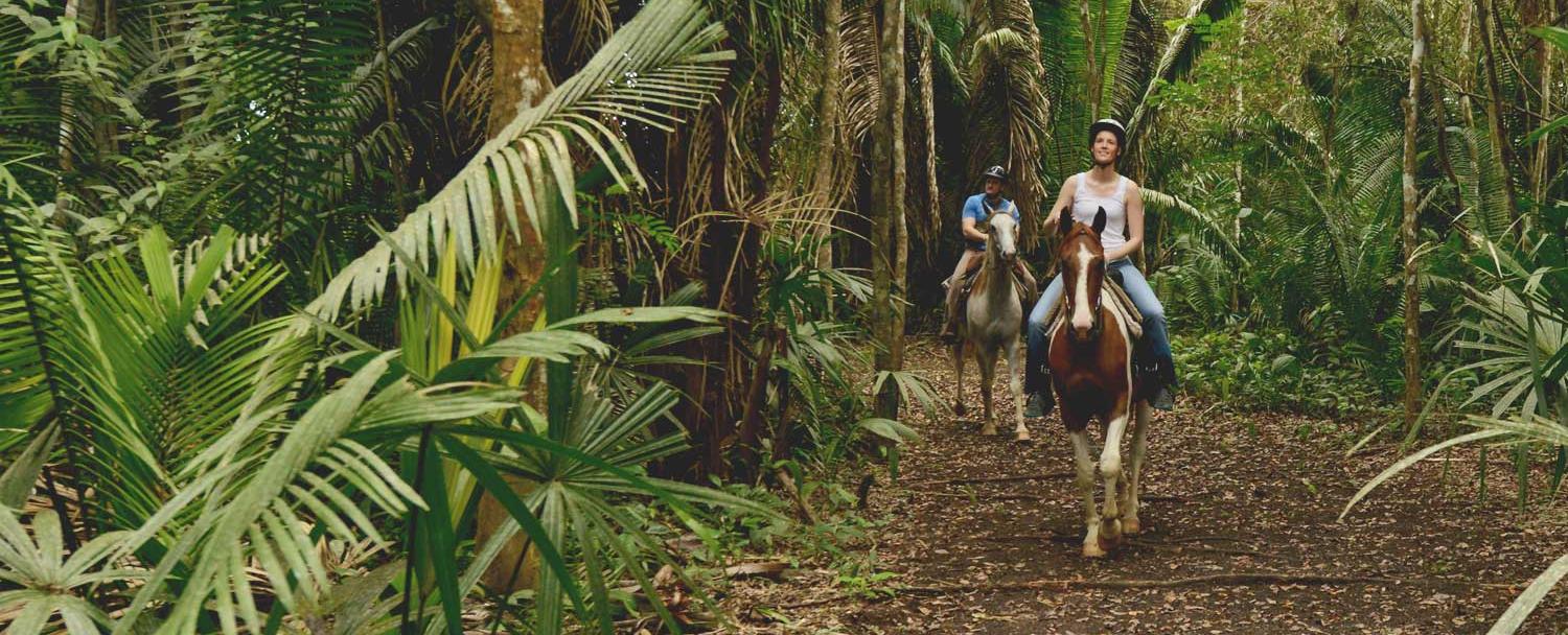 Belize Horseback Riding Trails Chaa Creek