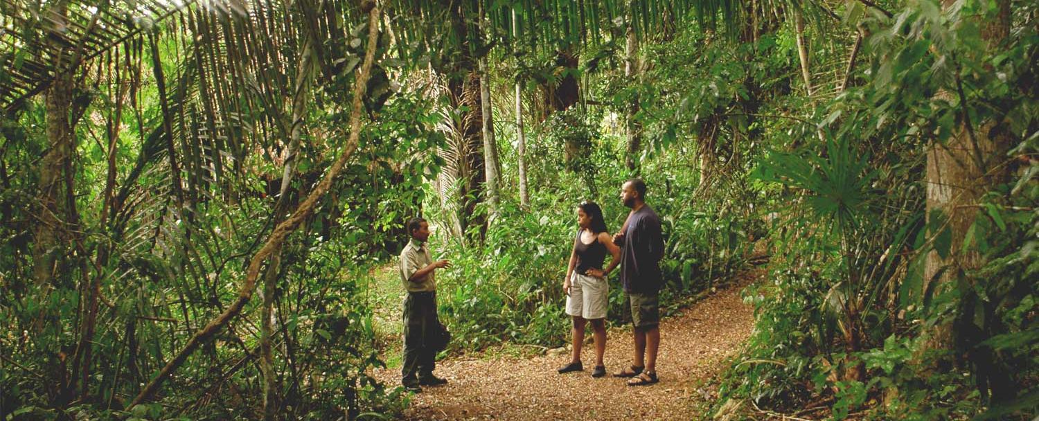 Belize Natural Guide Botanic Gardens Chaa Creek