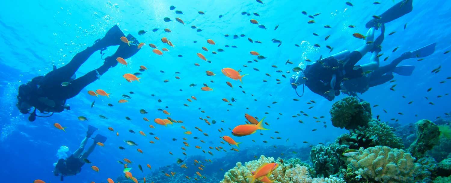 Scuba Dive with Chaa Creek's Belize all inclusive vacation package