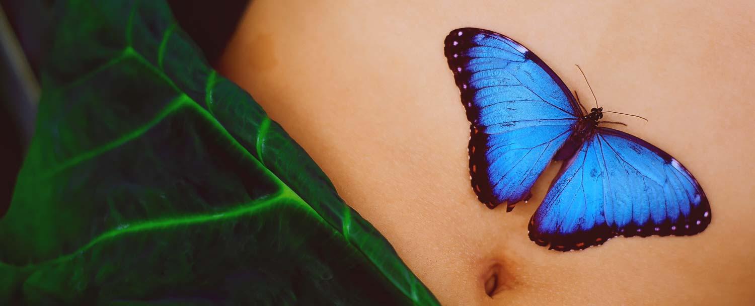 Belize spa resort butterfly relax