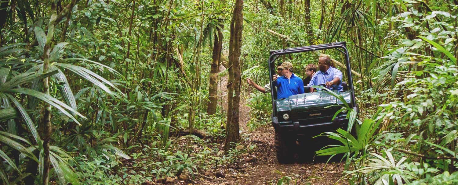 Rainforest ATV Safari Tours