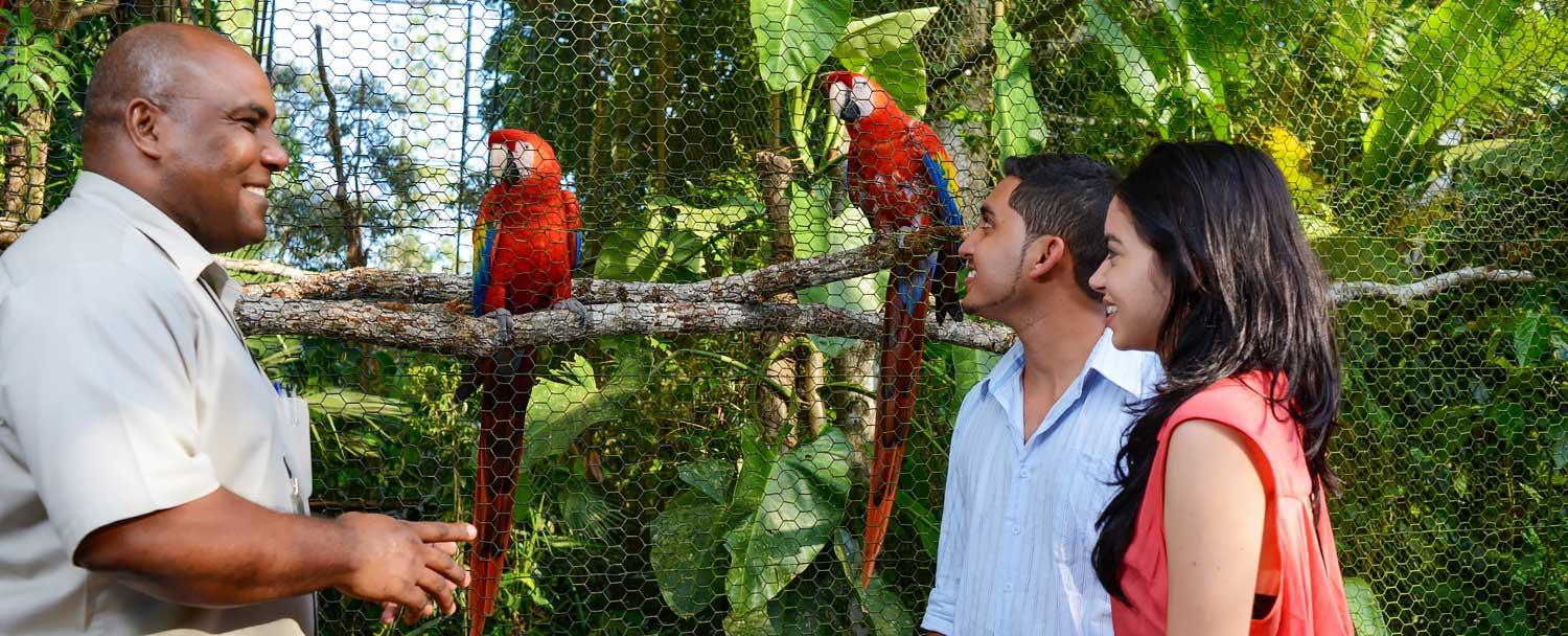 Belize Zoo Tour with our Belize Inland Expedition Vacation Package