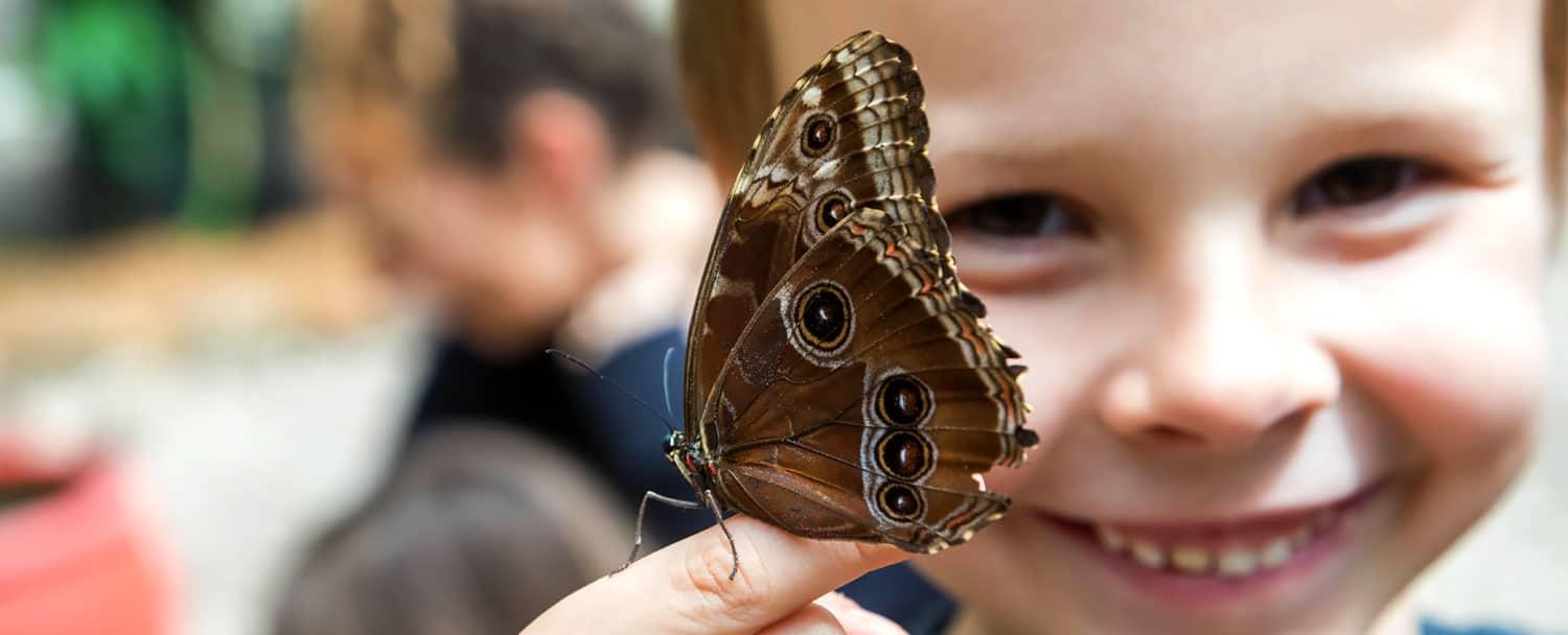 kid posing with belize blue morpho butterfly