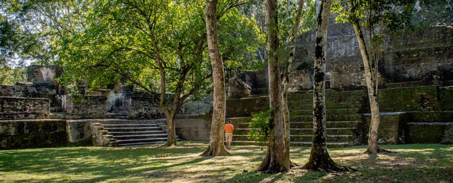 Belize Maya Temple Tours