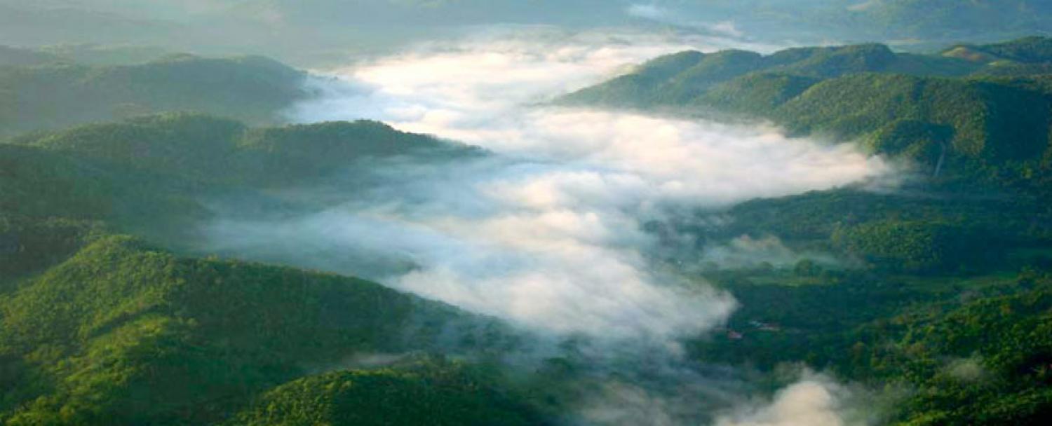 Belize Nature Reserve on Macal River Valley