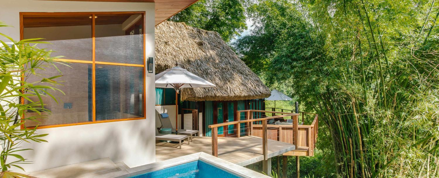 Chaa Creek Belize Jungle Resort Regenerative Accommodations with photo of treetop house