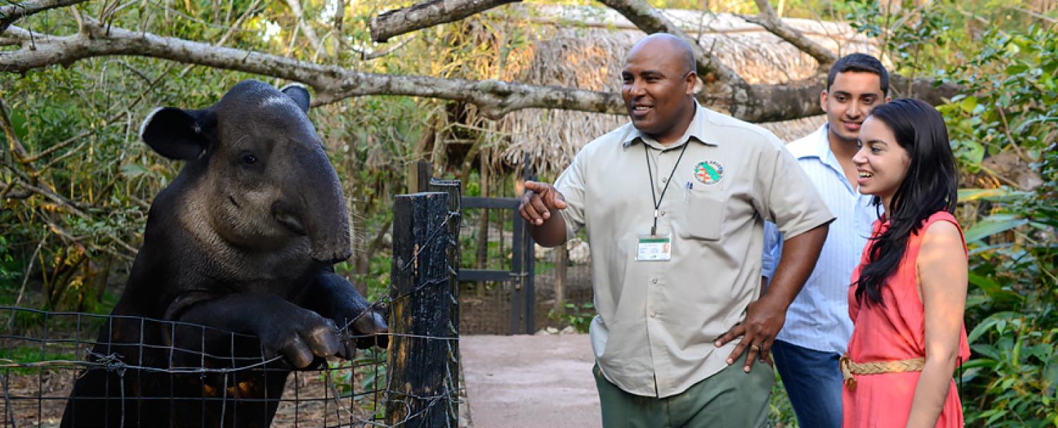 Guests of Chaa Creek at The Belize Zoo