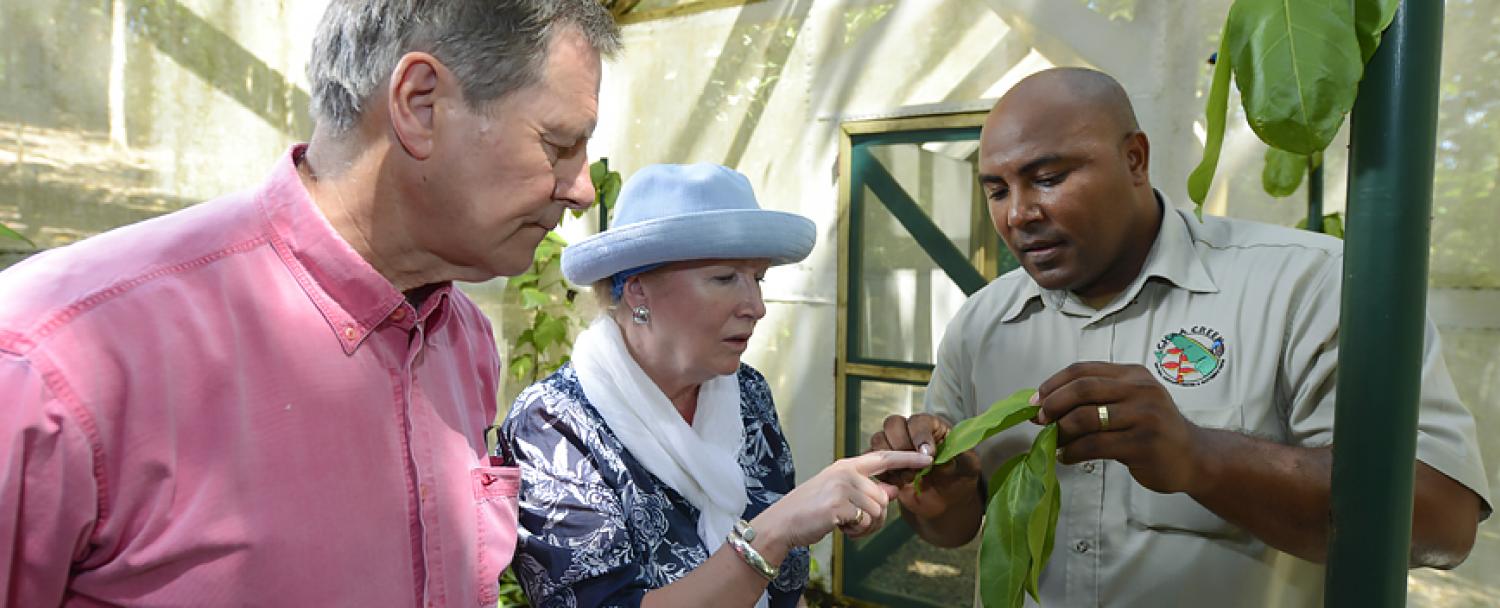 Naturalist Guide at Chaa Creek's Belize Butterfly Farm