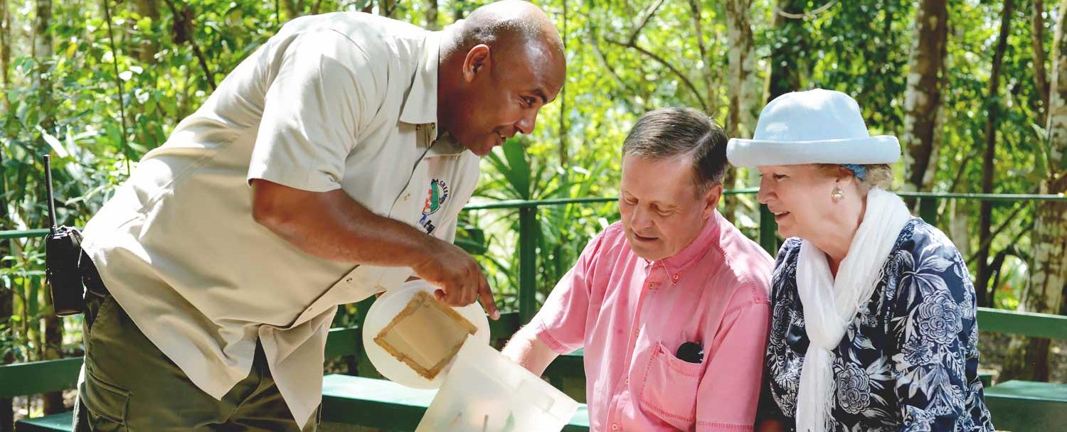 Belize Butterfly Farm at Chaa Creek