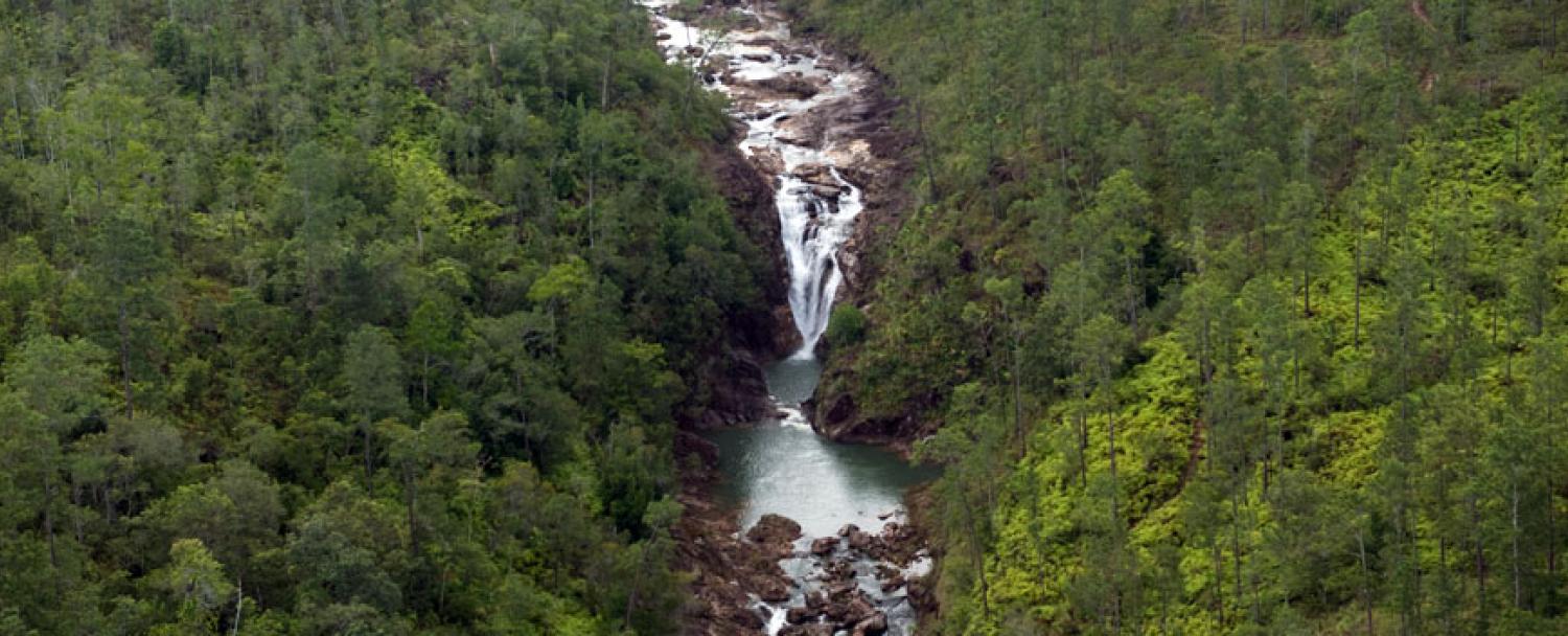 Pine Ridge Belize Tours