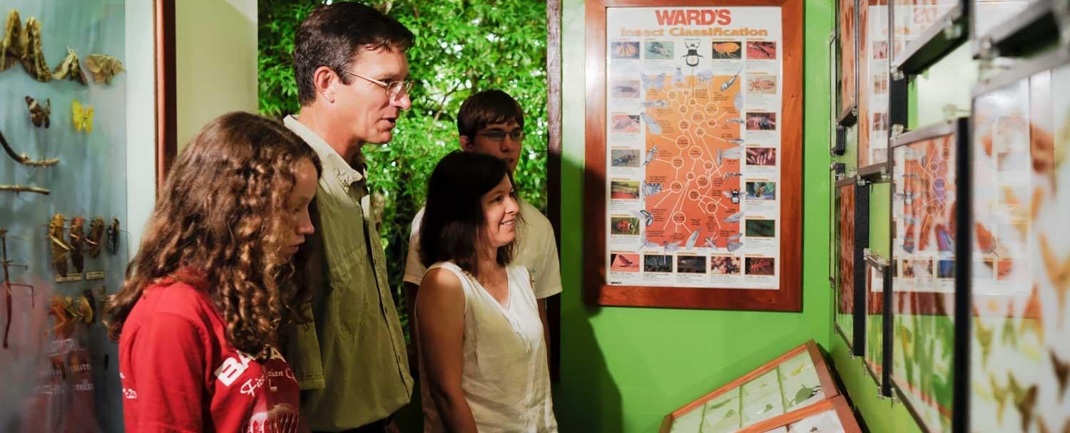 Learn about Belize wildlife at Chaa Creek's Natural History Center