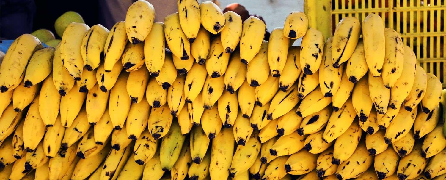 Bananas on display at San Ignacio Market Tour by Chaa Creek