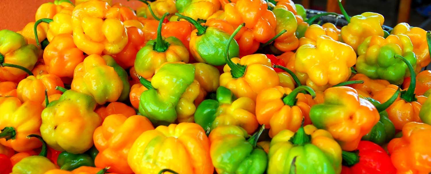 fiery hot habanero peppers at san ignacio market tour with Chaa Creek