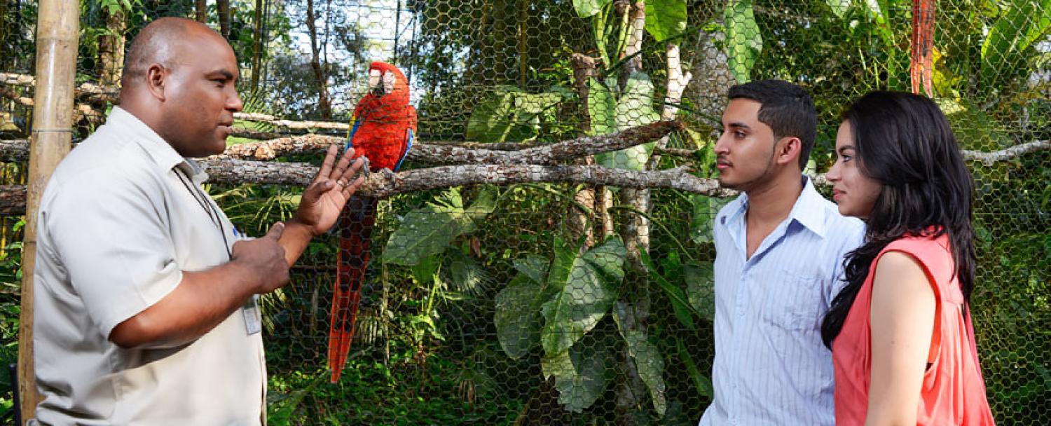 The Belize Zoo Chaa Creek Glossary