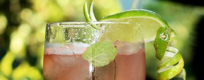  Belize Drink Recipes Jungle Remedy