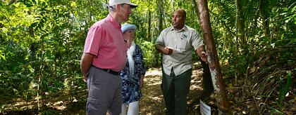 Belize Rainforest Medicine Trail