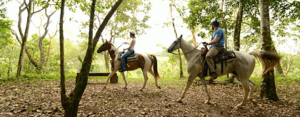 Belize Horseback Riding Tour