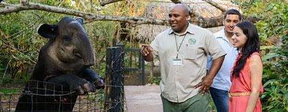 The Belize Zoo Chaa Creek Tour