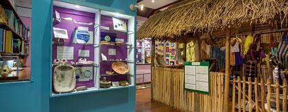 Natural History Centre Belizean Tours