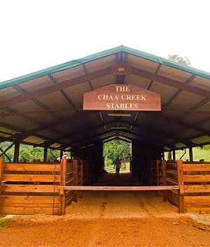 belize story built horse stables